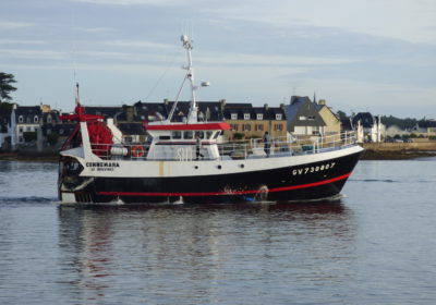 Connemara